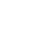 Logo Barbarian